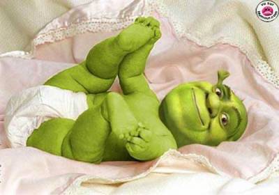 shrek