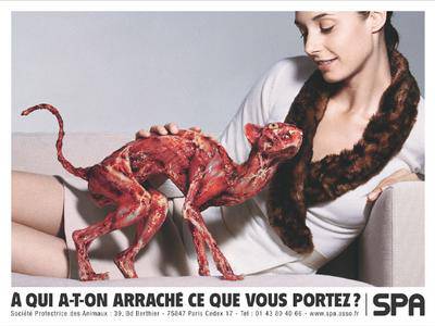 réfléchissez